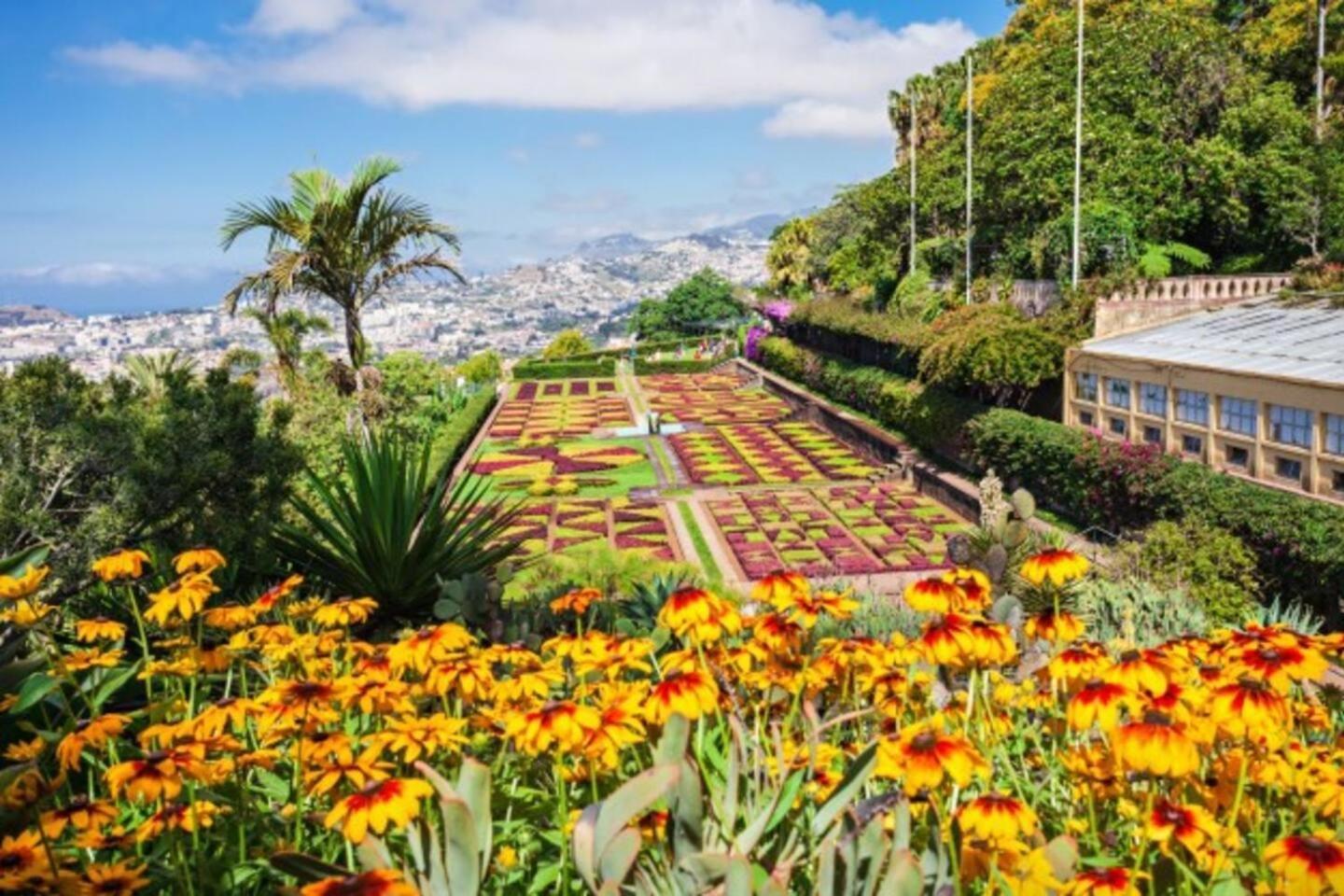 Comfortable 2-Bedroom Apartment For Relaxing Stays Funchal  Esterno foto